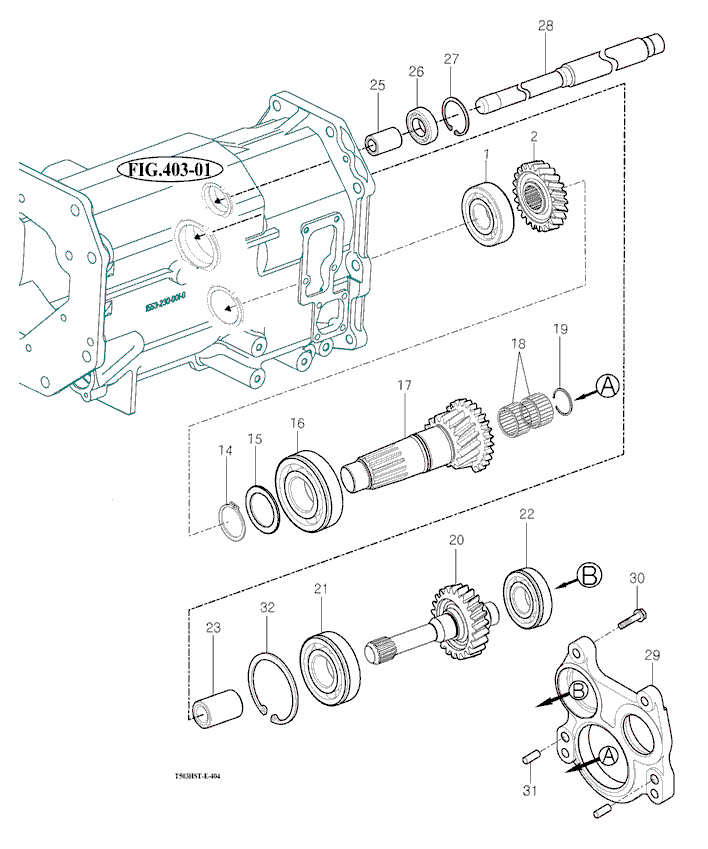 404 - TRANSTER GEAR SET