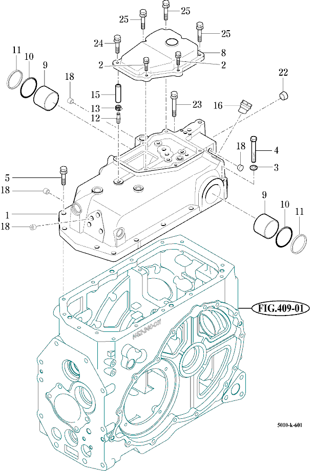 601 - CYLINDER CASE